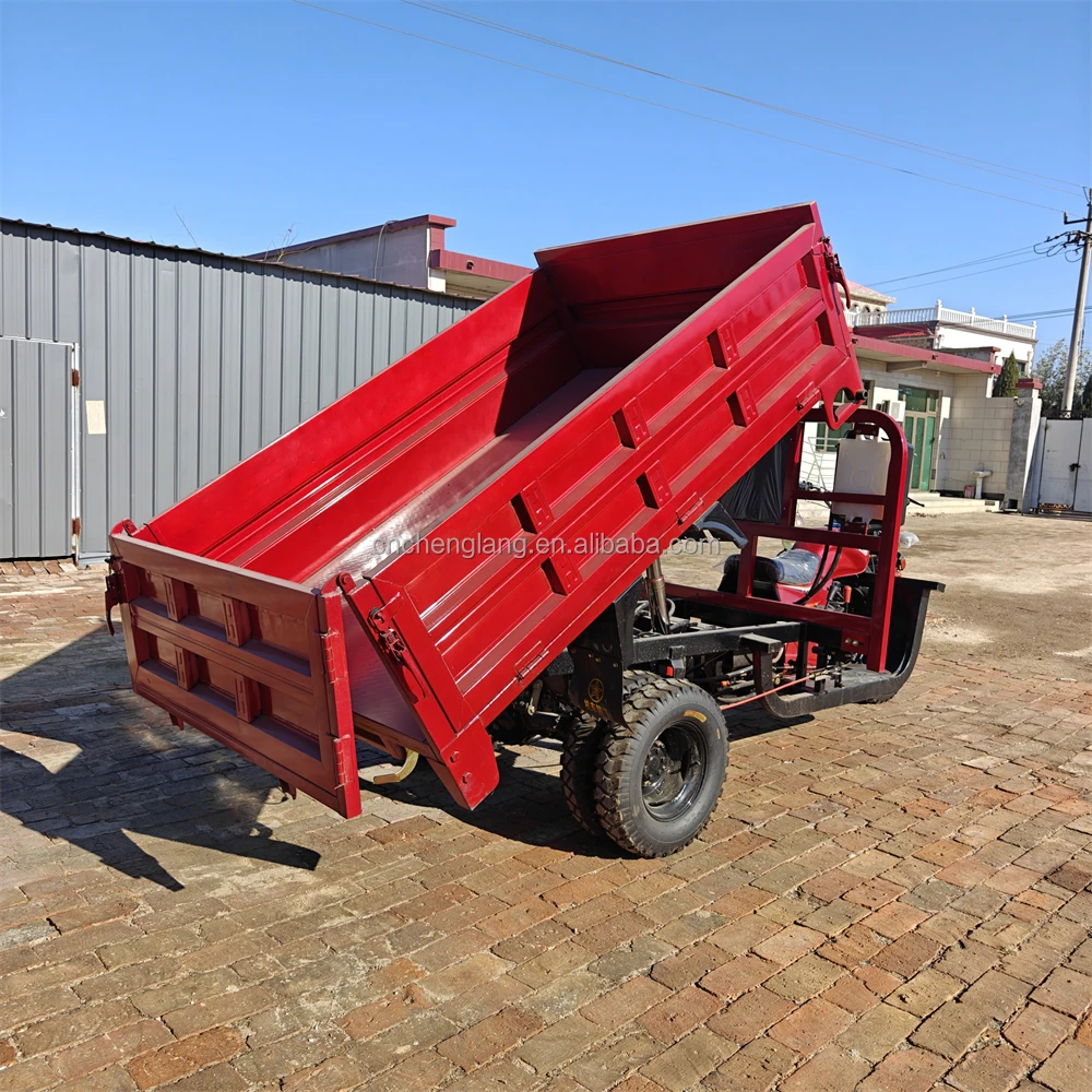 New Style 5 Wheel 300cc Cargo Passengers Closed Fuel Gasoline Moto Motorise Powerful Motorcycle Tricycle