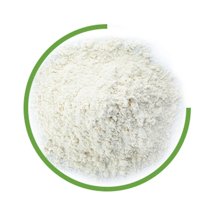 Improve Immune System Lose Weight Probiotics Health Food Additives Lactobacillus Paracasei