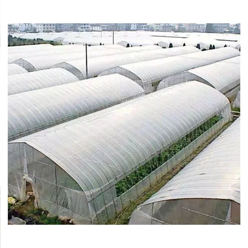 Your Trusted Source for Affordable, Durable and Wind-Resistant Greenhouses