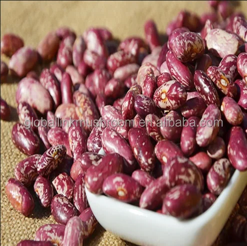 New Crop Red Speckled Kidney Beans