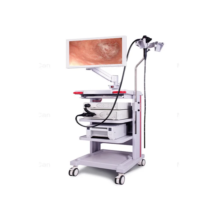 A-Faith 2022 EMV -3000 Medical Endoscopy System with Electronic Video Gastroscope And Colonoscope Video Endoscape