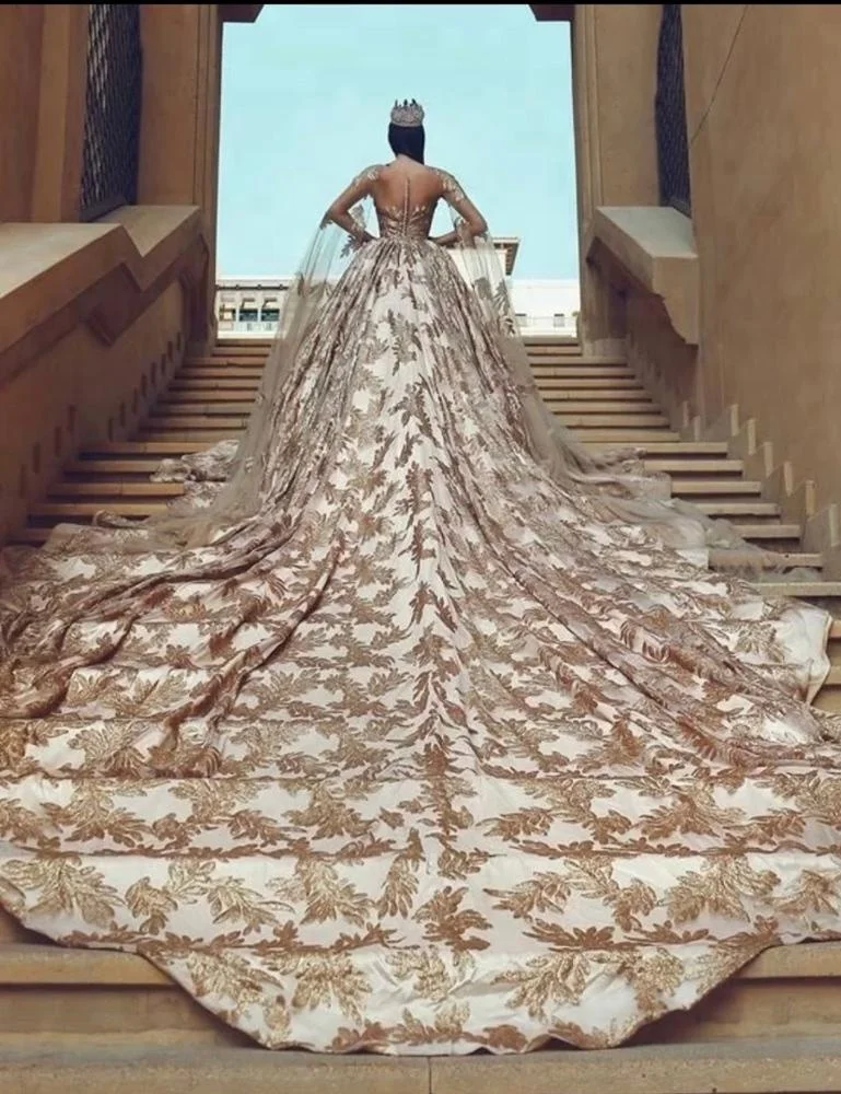 Beautiful Puffy Ball Gown Wedding Dress with Sleeves,Backless Wholesale Long Bride Gold Luxury Wedding Dress