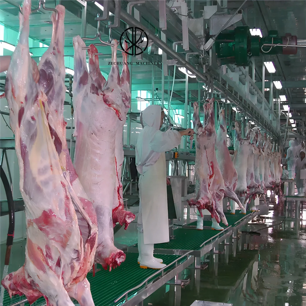 Hot Price Complete 300 Sheep Slaughterhouse Price Of Lamb Cleaning Machine For Meat Mutton Plant Goat Washing Machinery