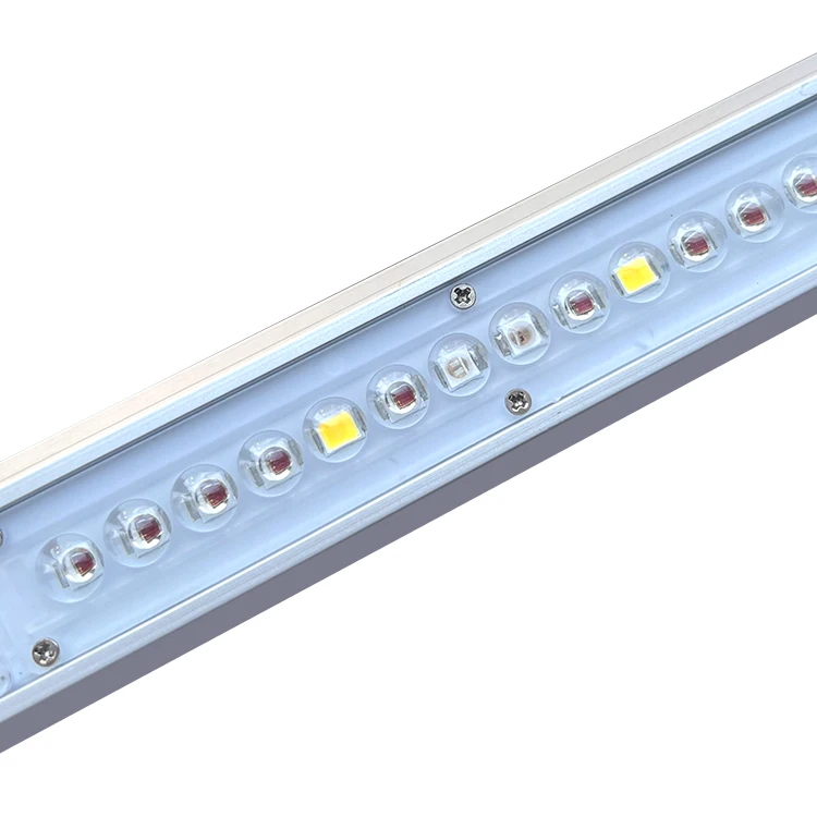 Growing Strawberry Plants Indoors Grow Light LED Full Spectrum Commercial Plant Growing Vertical Farming Grow Light