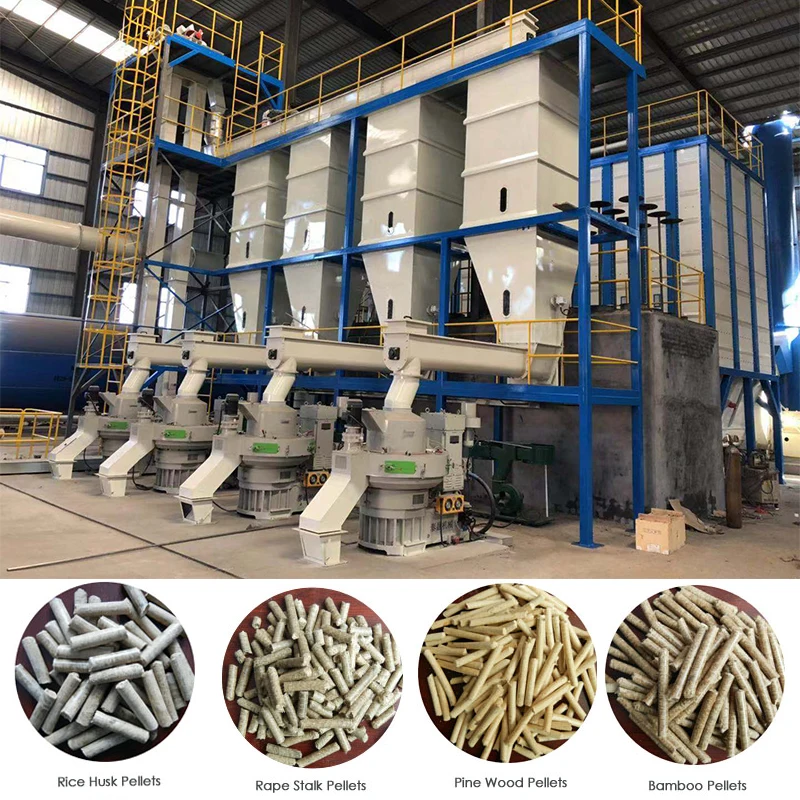 Professional Supplier Complete Biomass Wood Sawdust Pellet Line/Pelletizing Extruder