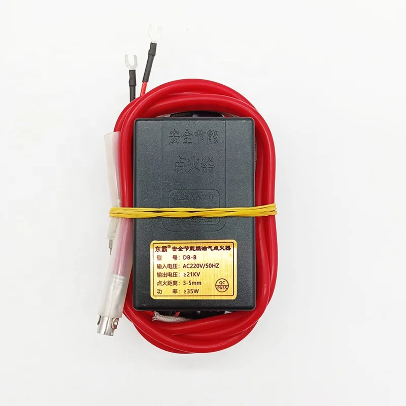 Dongba Hotel Commercial Furnace 220v Pulse Igniter High Voltage Energy saving Electronic IgniterDB-B small box with open flame