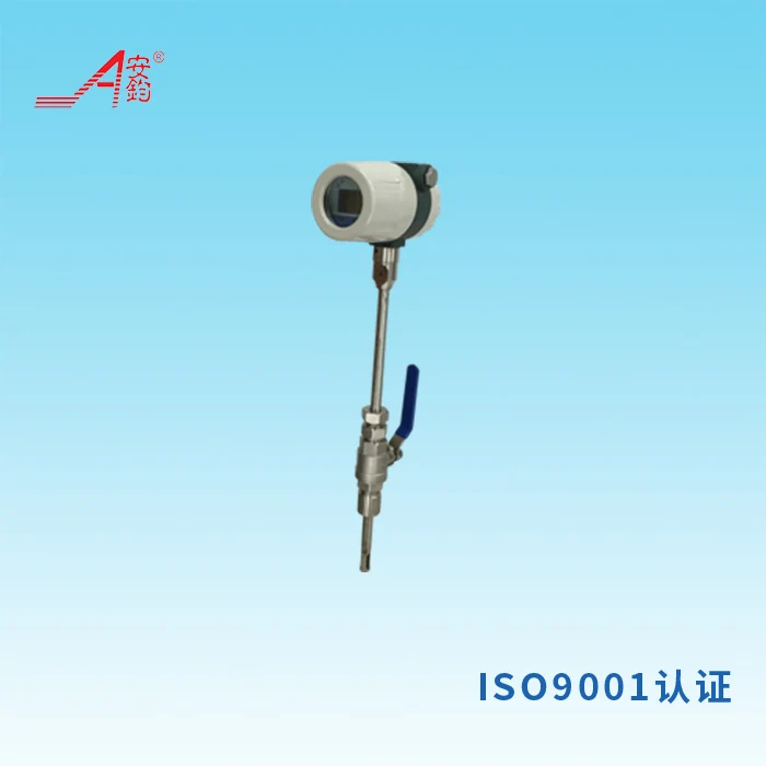 China Wholesale Hot Sale Thermal Ajr Coriolis Small Gas Mass High Flow Meter
