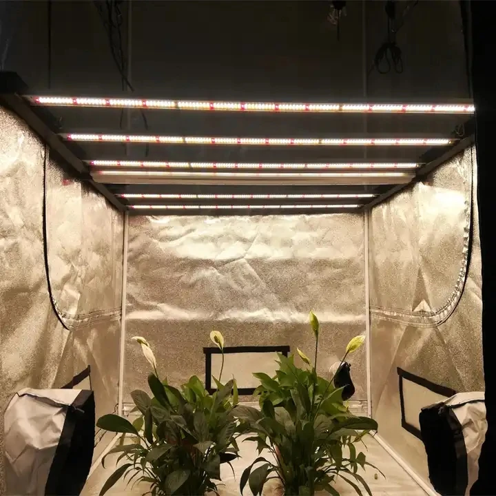 Hortlight  600W  6 bar Hot Selling Saving Space Full Spectrum driver built in  with dimming led grow light