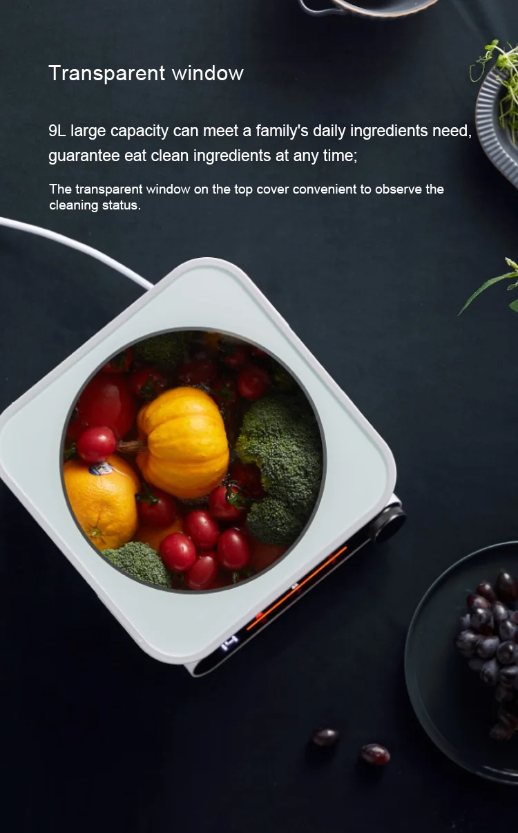 vegetable cleaner (9)