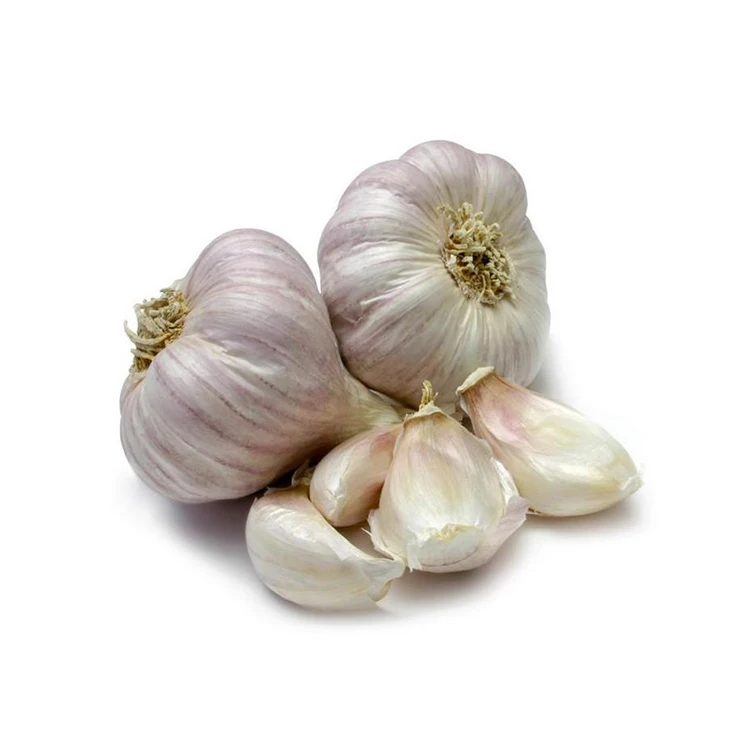 2021 акция низкая цена оптовая продажа высококачественные сетчатые пакеты Обычный белый чеснок