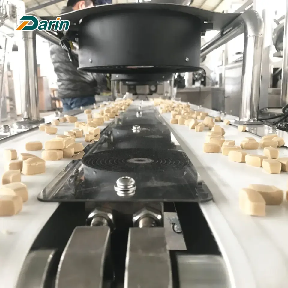 Low price new high cost performance Cold Extrusion Pet Treats Making Machine Pet Biscuit Making Machine