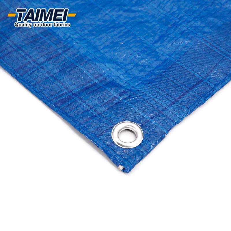 50 г/кв. М легкий ПЭ брезент пластиковый цена для общего назначения пылезащитный лист
