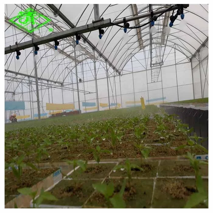 Plastic Farming Application UV Protection Multi-Function Greenhouse Film