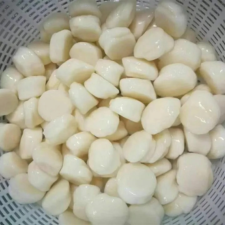 Bulk Packaging bay scallop