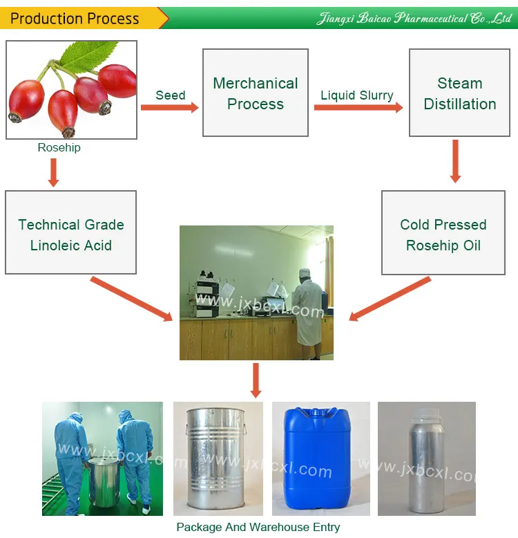 Popular SPA Oil Cold Pressed Rosehip Seed Oil For Hair Face Vitamin C, Fruit Acid, Soften Skin Rose Hip Oil Massage Pure Natural