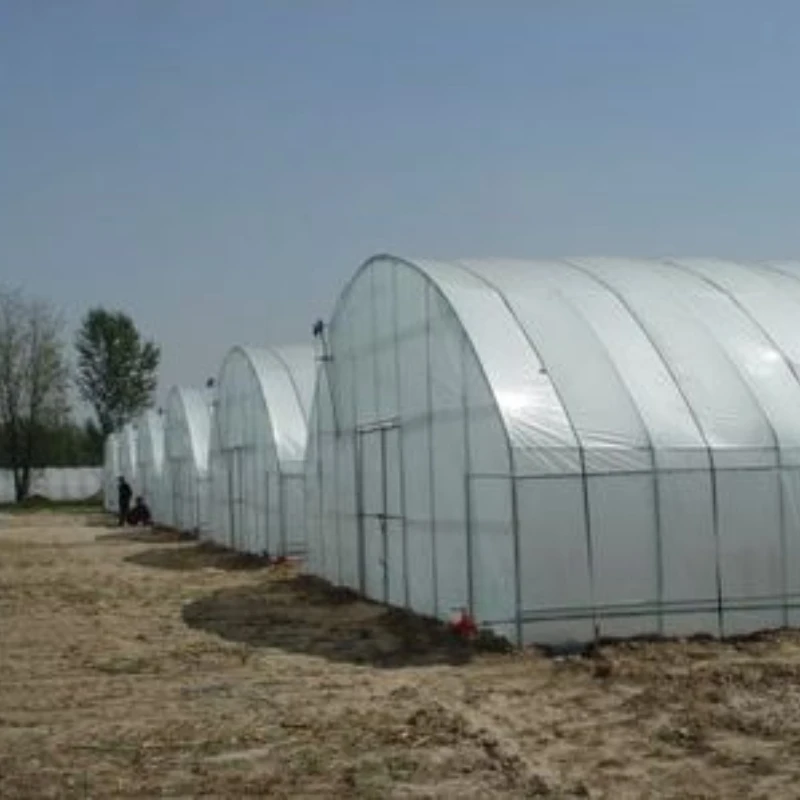 Multi-Use Film Greenhouse for Diverse Crop Rotation Techniques and Yield Improvement Strategies