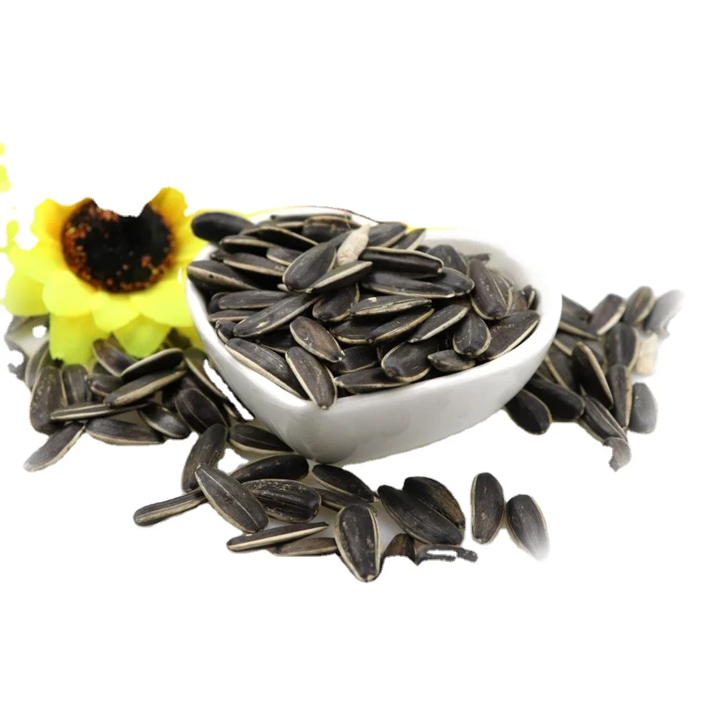 Sunflower seeds with the highest survival rate of the latest seeds in the season and leading sales 2022