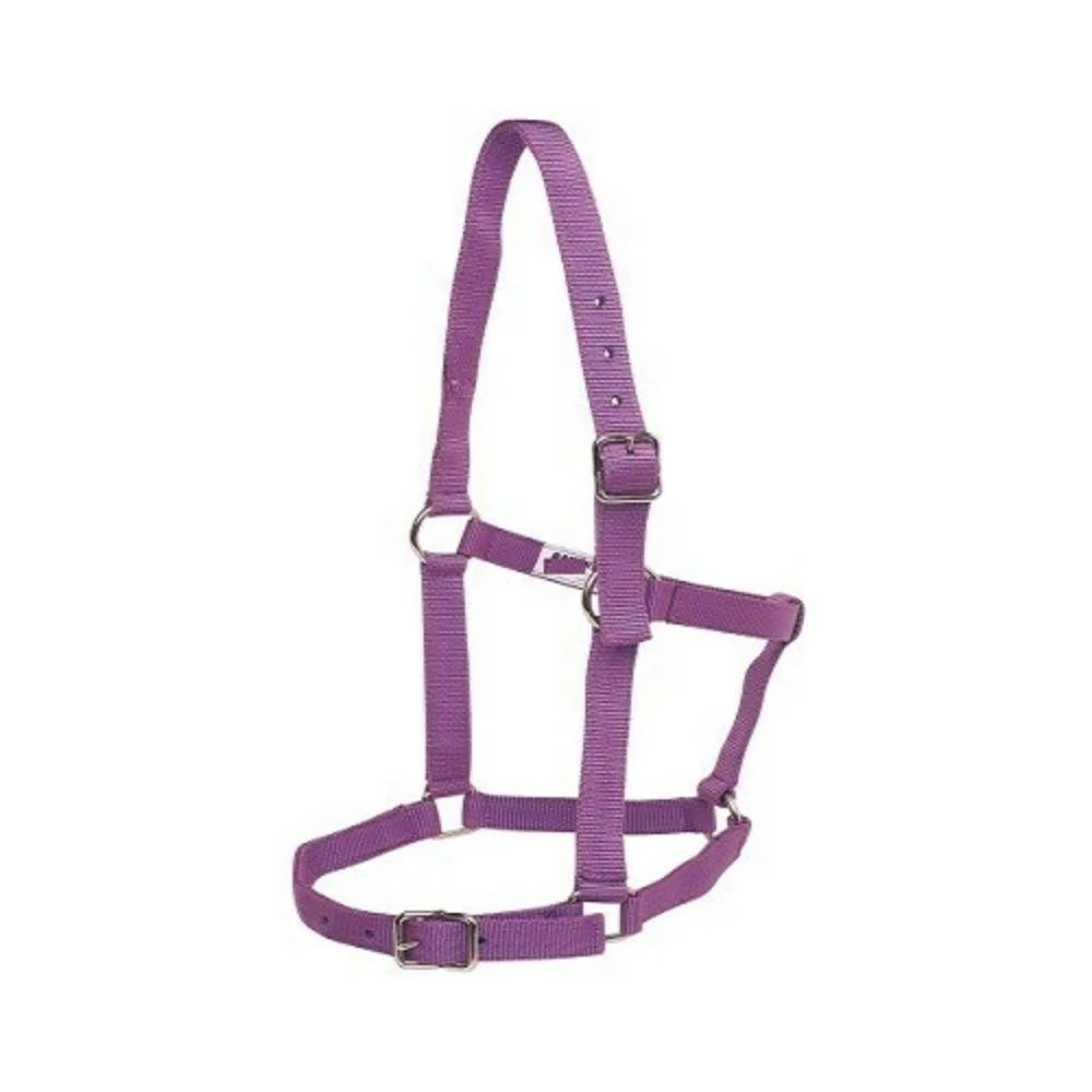 Hot Selling Handmade Comfortable Nylon Horse Halter