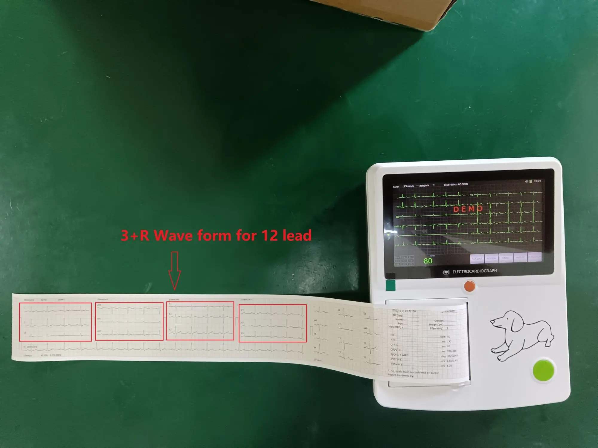 Vet ECG Machine For Animal