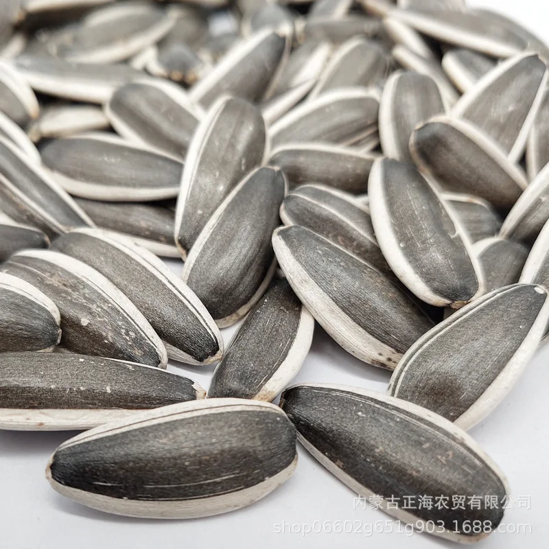 
Chinese factory supply top grade quality seeds sunflower 361 