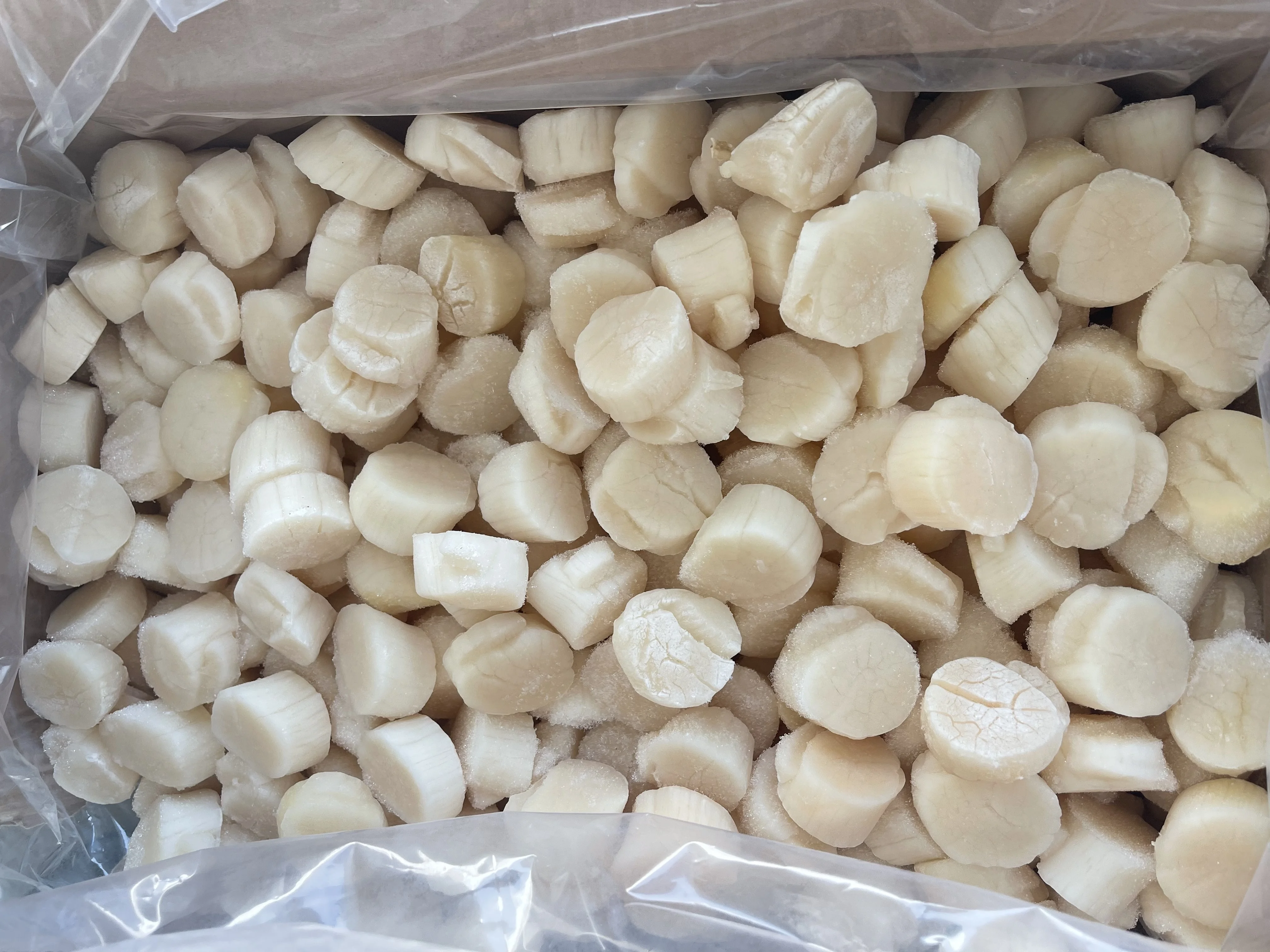 Good Price Seafood IQF Frozen Japanese Scallop Meat with Competitive Price