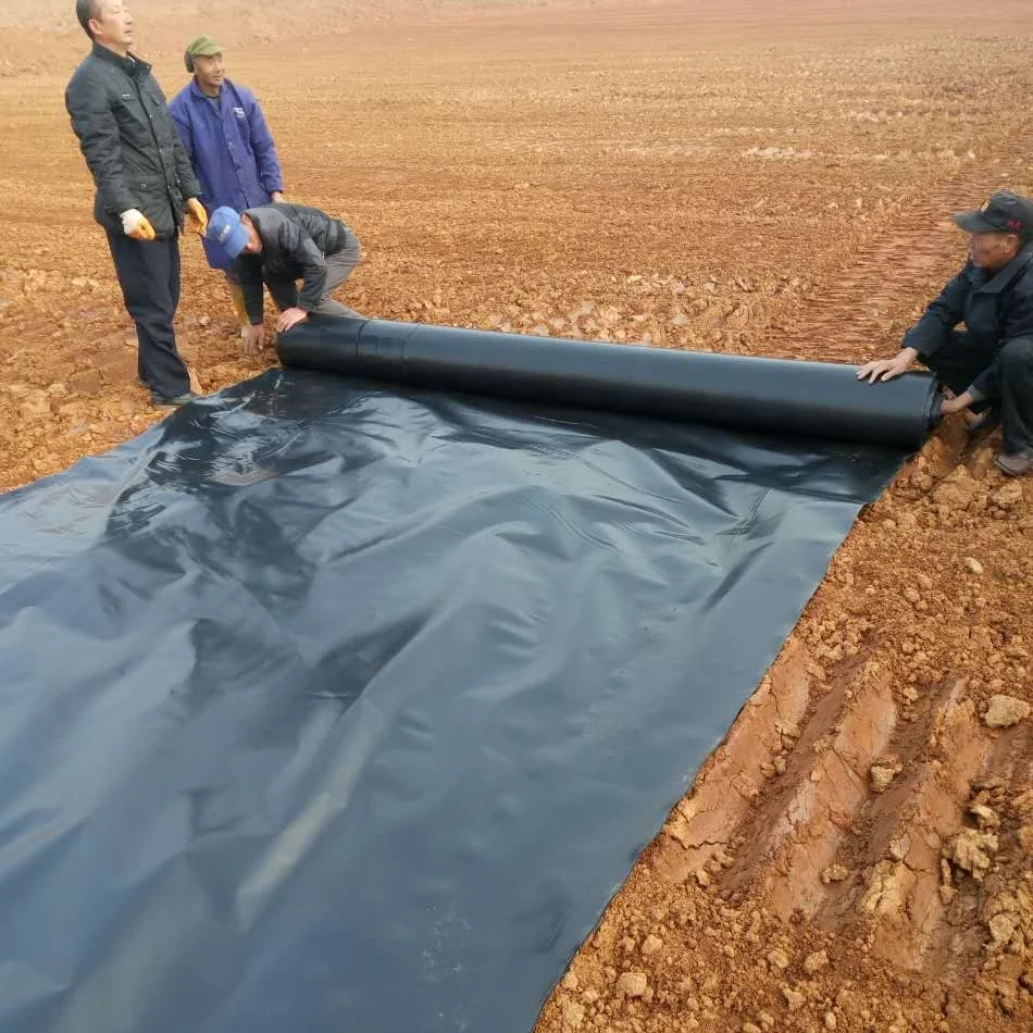 200um Black plastic sheeting roll for builder film