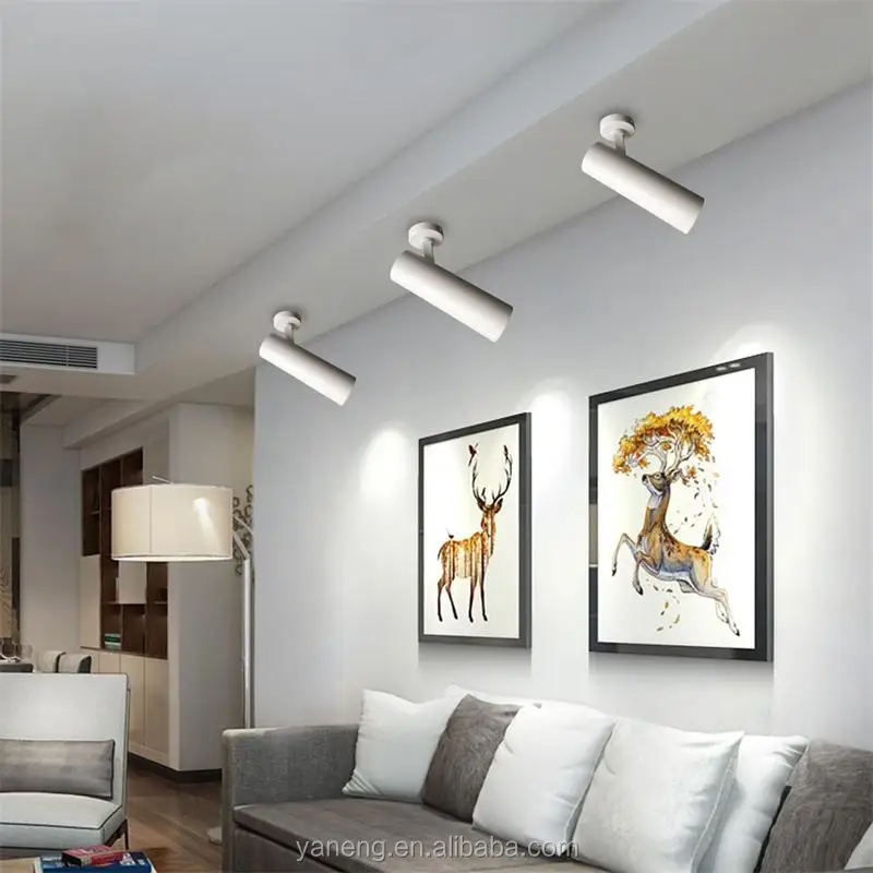 LED Spotlight Surface Mounted Narrow Beam Angle 15 degree 10W