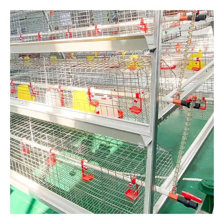 High Quality a Type Egg Laying Equipment Hen Poultry Farm Chicken Cages Egg Layer