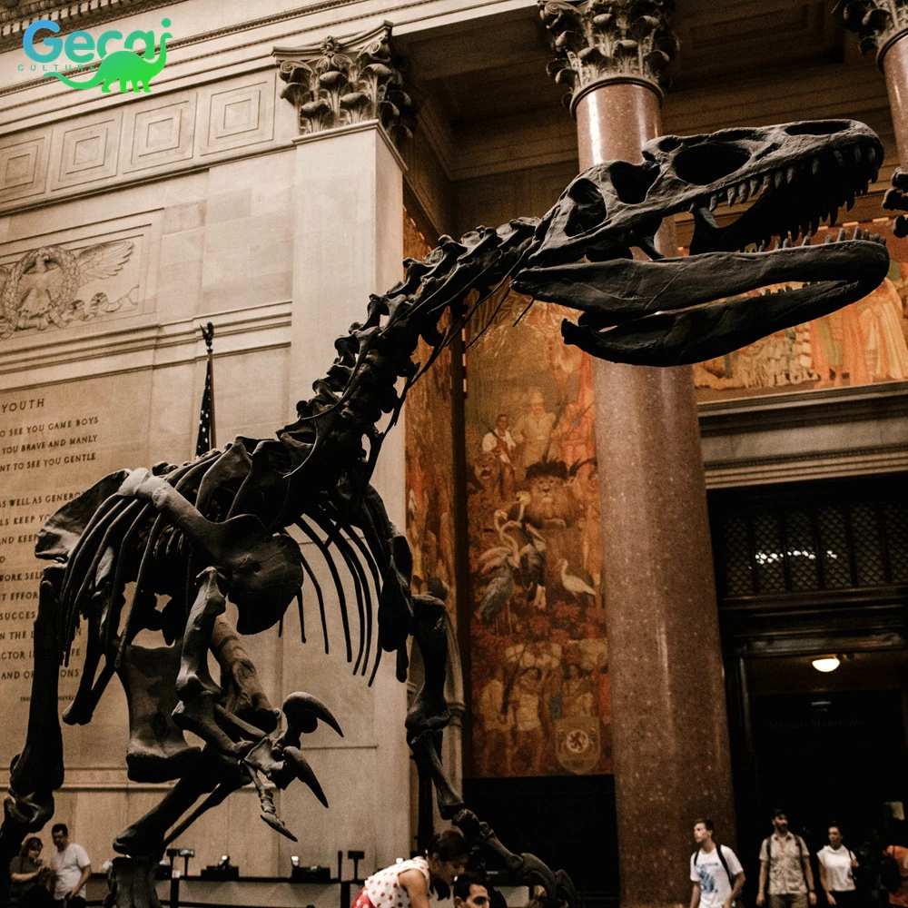 Gecai Replicas Museum Dinosaur Fossils Bones Real T Rex Dinosaur Skeleton Model For Sale