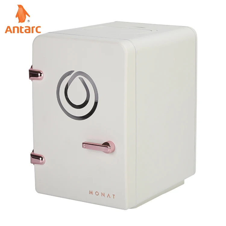 Low noise 6L breast milk medical fruit skin care products mini car fridge