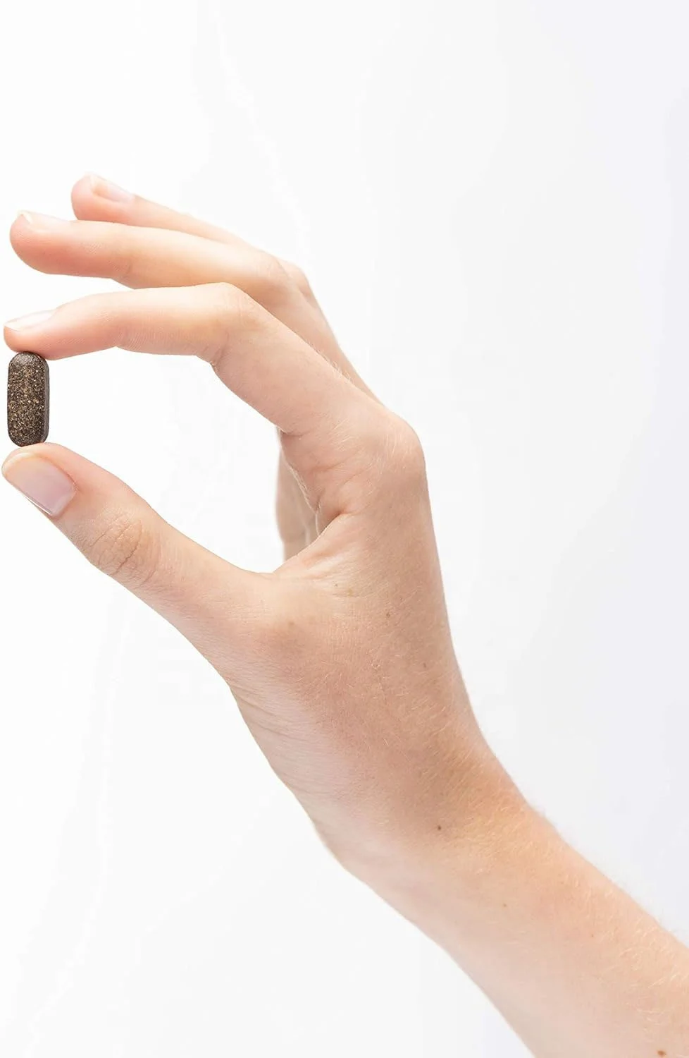 GMP Certified Organic Chaga Mushroom Tablets Immune Support Enzyme Weight Management Antioxidant Boost Packaged Bottles Adults