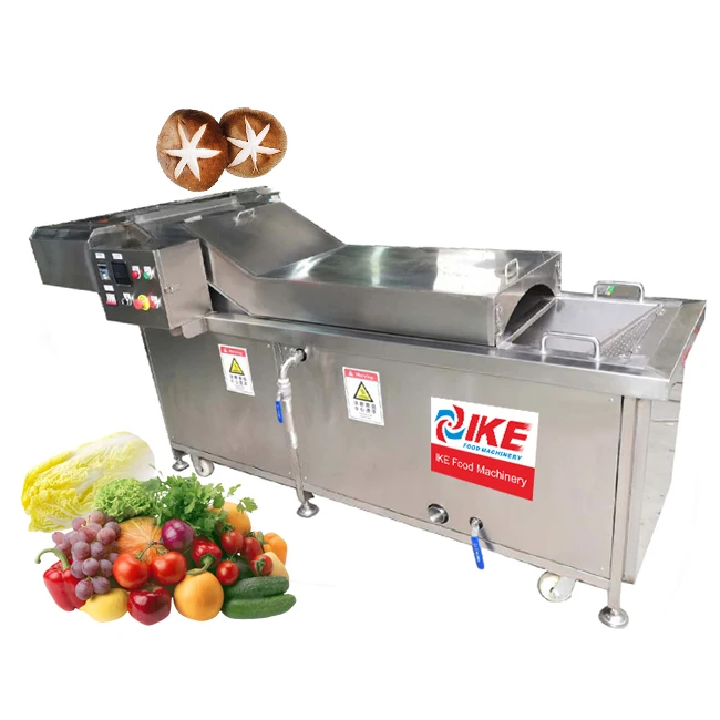 Industrial Large Batch Fruit And Vegetable Cooling Machine Chinese Cabbage Cucumber Mushroom Blanching Food