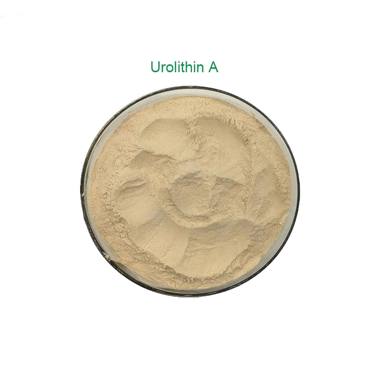 Wholesale Price CAS 1143-70-0 Food Grade 98% Urolithin A Powder