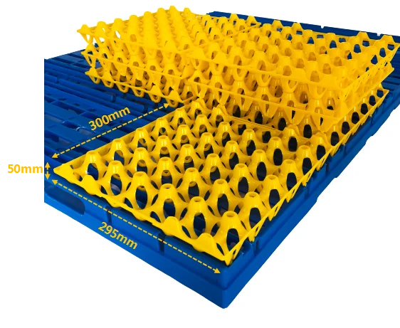 High quality Stackable and durable 30 Hole Farm Chicken Plastic Egg Shakers transport packing Crates Grille Egg Trays for Save