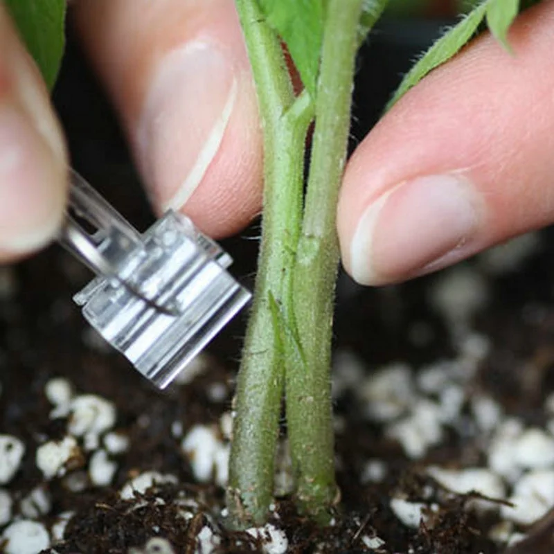 Сельскохозяйственная пластиковая продукция по удивительной цене, полипропиленовая наземная крышка, литье, арбуз, помидоры, огурец, дыня