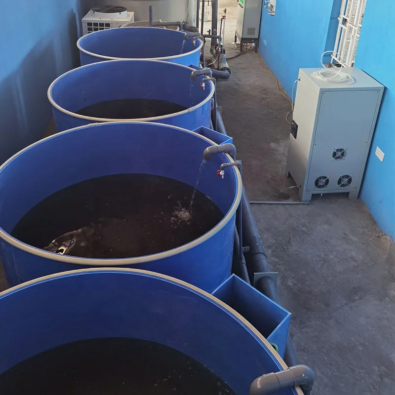 Indoor recirculating aquaculture system fish farming RAS Solution for Tilapia Fish farming