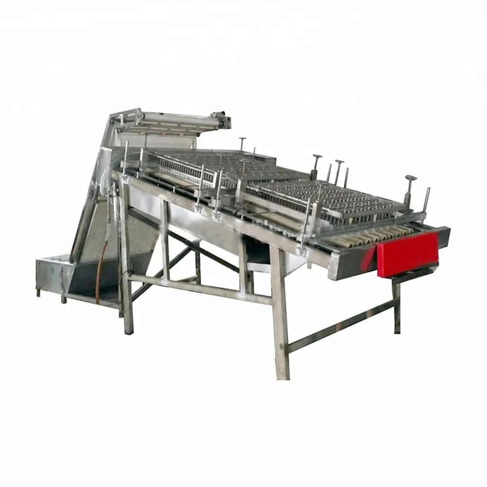 Automatic prawn shrimp shell peeler deveiner peeling machine from industrial shrimp process equipment