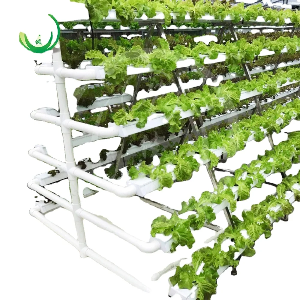 CHOYUEH Wholesale Hydroponic Systems with Good Quality and Low Cost