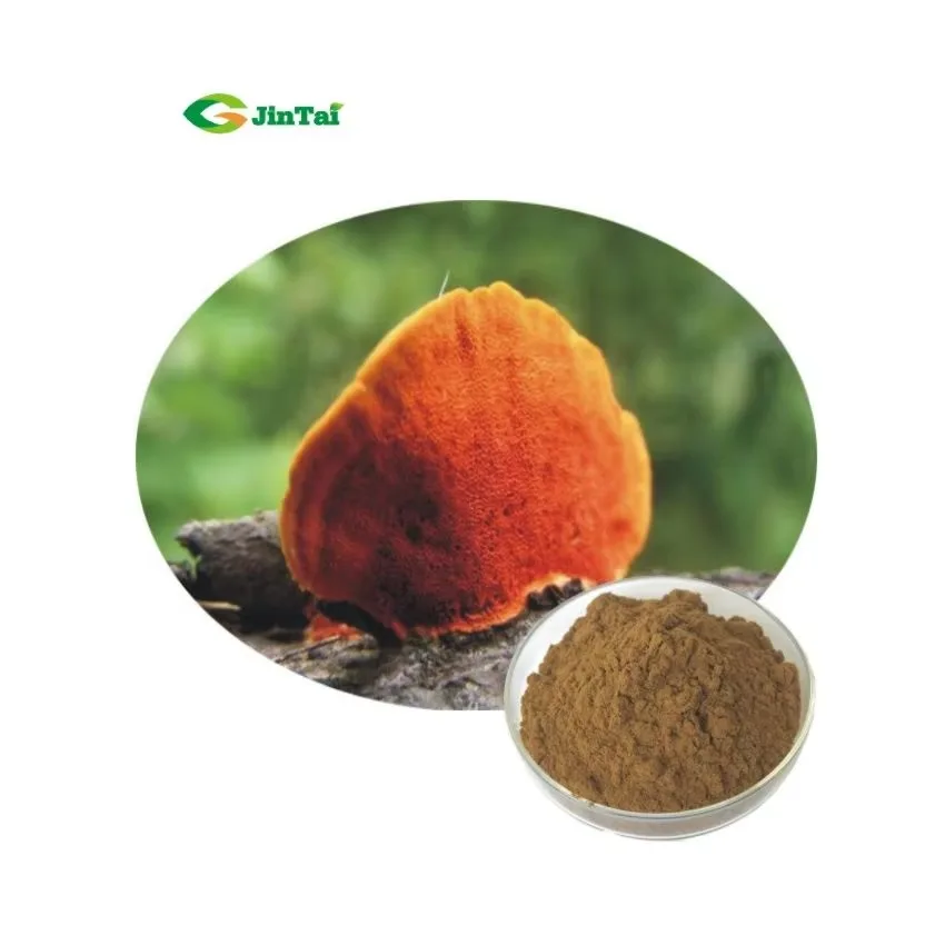 Natural Organic Polysaccharide Turkey Tail Extract coriolus versicolor