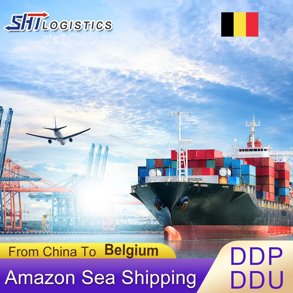 20 days delivery  Logistics the cheapest freight forwarder from China to Portugal Belgium Netherlands sea rail transport