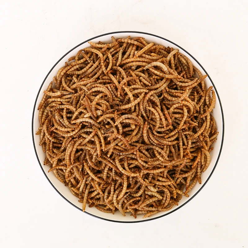 
Wholesale high-protein larvae rich in nutrient insect dried mealworm 