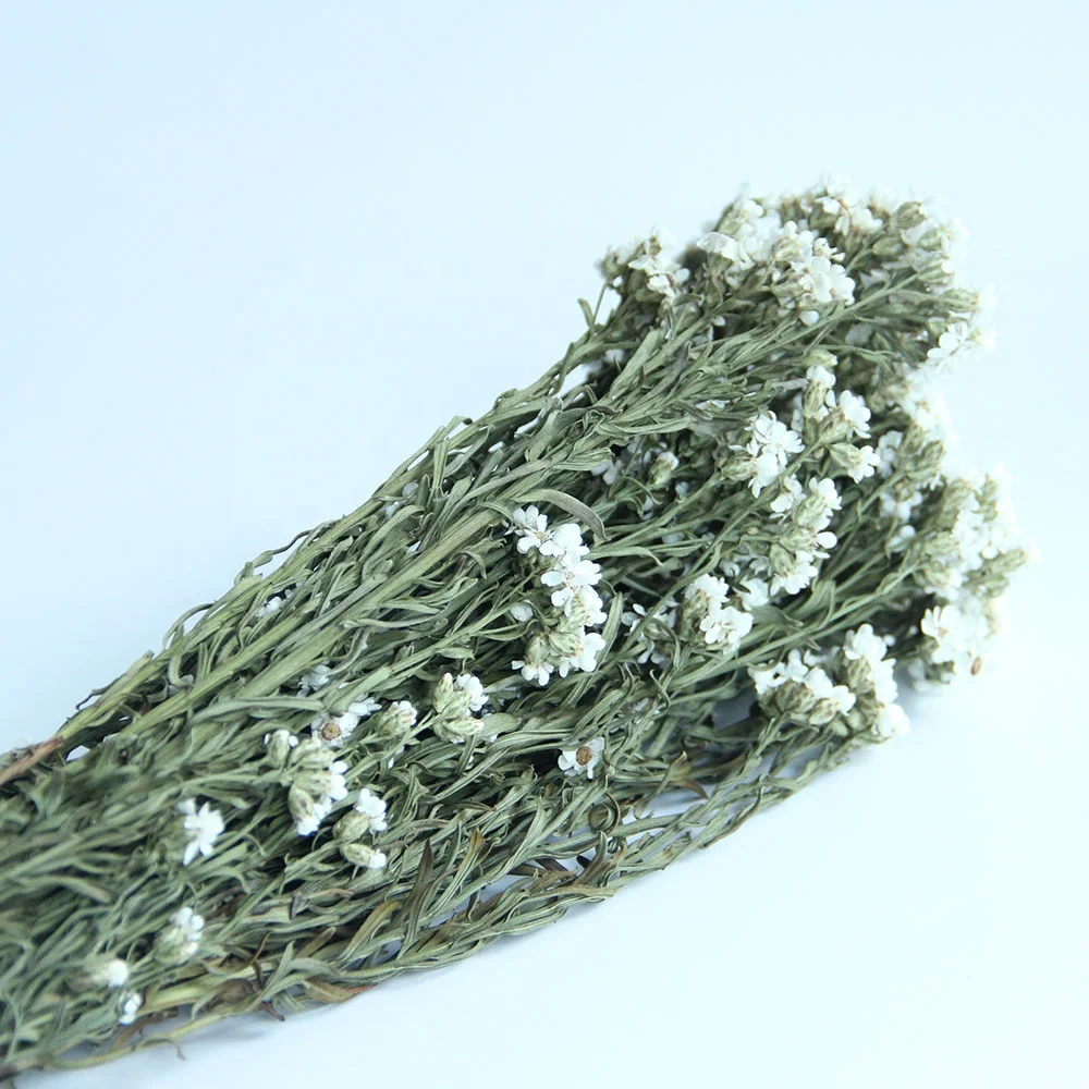 Wholesale New Arrivals Wedding Flowers Bouquets Ins Style White Jap Apricot For Home decoration or Valentines Day Gifts