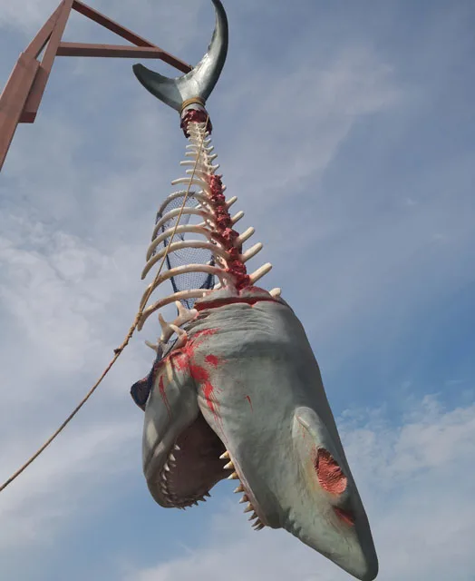 Latest Design Theme Park Shark Skeleton