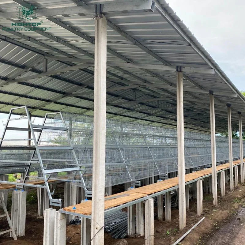 Factory Price Poultry Farming Design A Type Chicken Cage Automatic Battery Cage Layer Cages With Conveyor Belt In South Africa