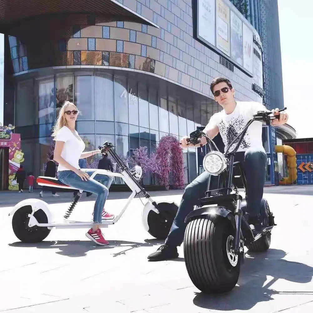 
Wide tire electric bicycle 