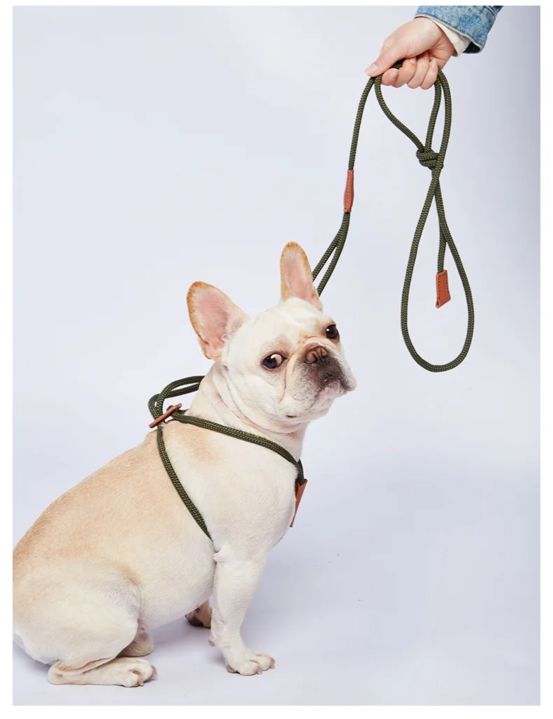 Hot Sell Custom Logo One-Handed Retractable Nylon Pet Leash with Quick Lock Button Economical Outdoor Walking Gear with for Dogs