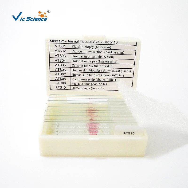 Medical Parasitology Prepared Slides for Students Learning Doctor Research Use High Standard Protozoa Prepared Slides