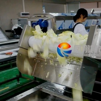 WA-2000 Vegetable And Fruit Washing Machine Bubble Cleaning Machine For Cabbage Lettuce Pepper Washer