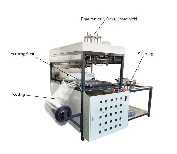 Small Mini Plastic Automatic Thermo Vacuum Forming Machine