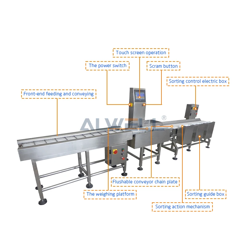 High precision shrimp sorting machine full automatic dynamic conveyor belt fish weight sorting machine